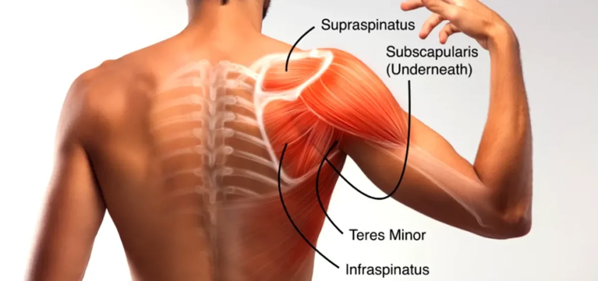 Sports Injury Orthopedic Doctor in Indore