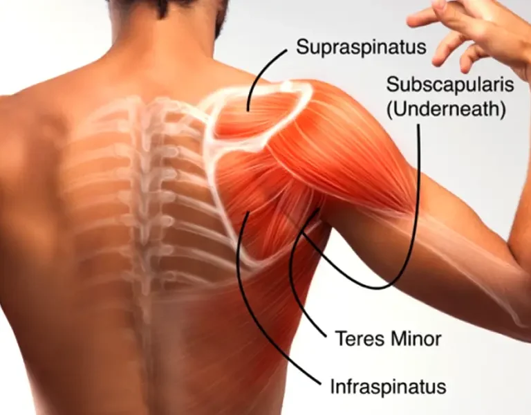 Sports Injury Orthopedic Doctor in Indore