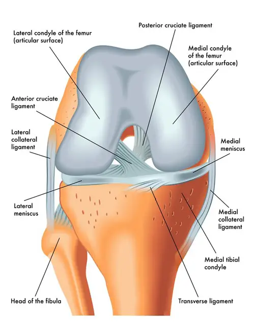 Sports Medicine Specialist in Indore