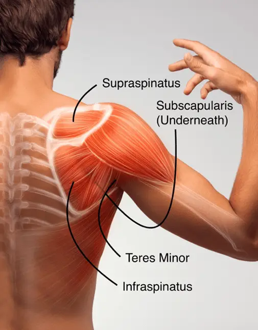 Shoulder Orthopedic Doctor in Indore