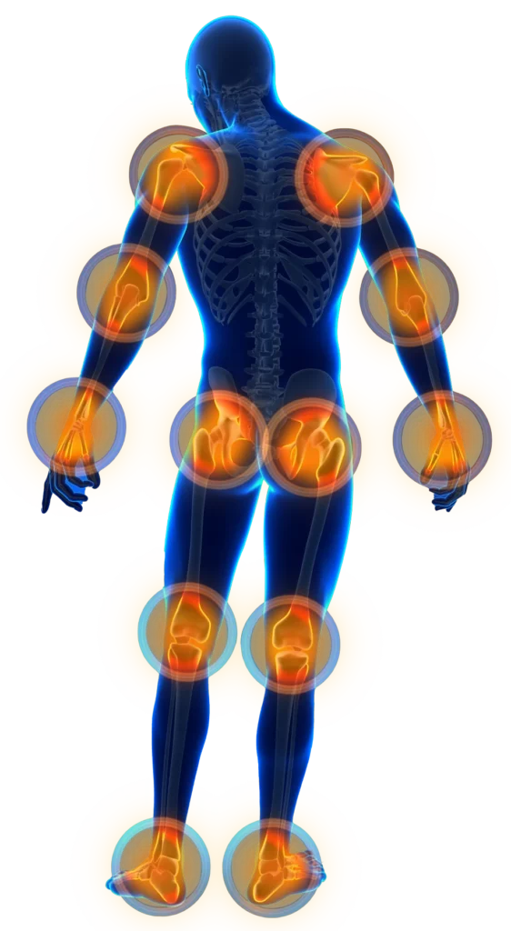 Joint Replacement Surgeon in Indore